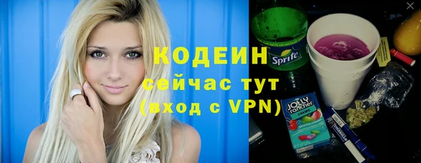 хмурый Абаза