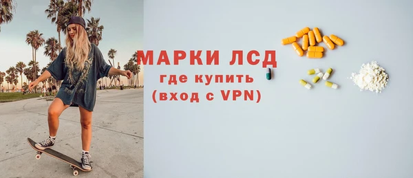 хмурый Абаза