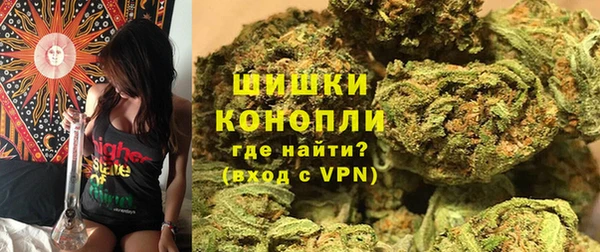 хмурый Абаза