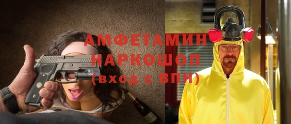 шишки Каменка