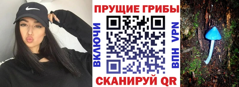 Галлюциногенные грибы MAGIC MUSHROOMS  Камышлов 